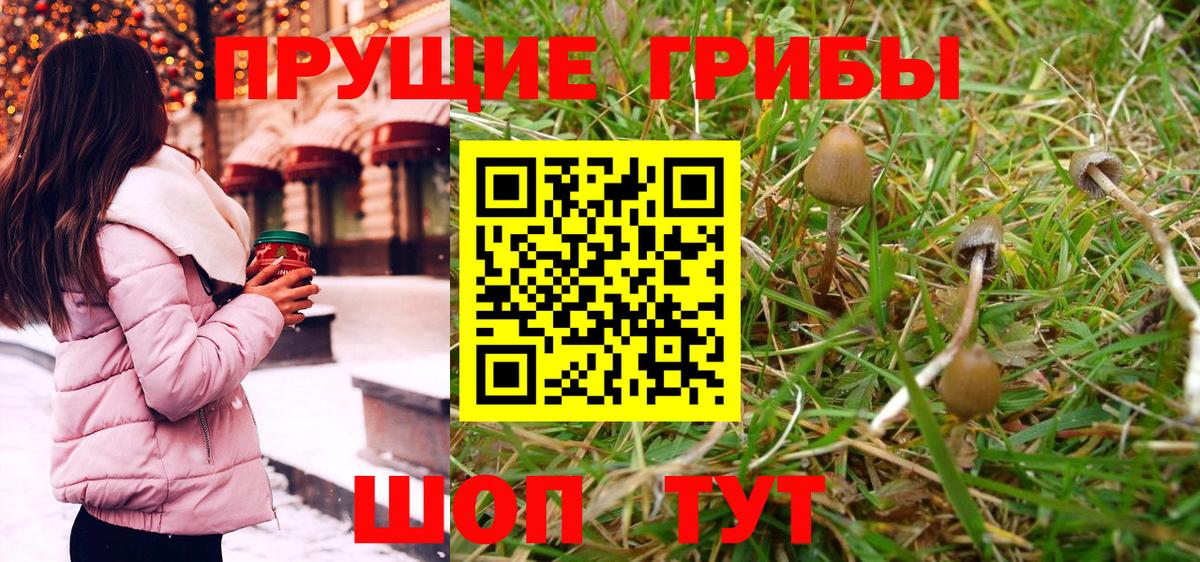 Псилоцибиновые грибы Cubensis Чебоксары