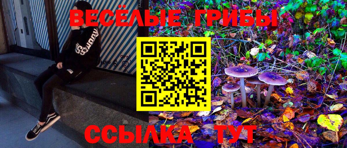 Чебоксары  Галлюциногенные грибы GOLDEN TEACHER  Вход с VPN 